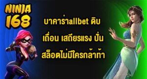 NINJA168 บาคาร่าallbet